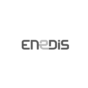 Enedis-Logo